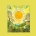 Strahlende Sonne – Leuchtender Mond
